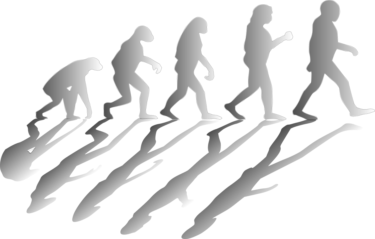 evolution-1295256_1280.png evolucion