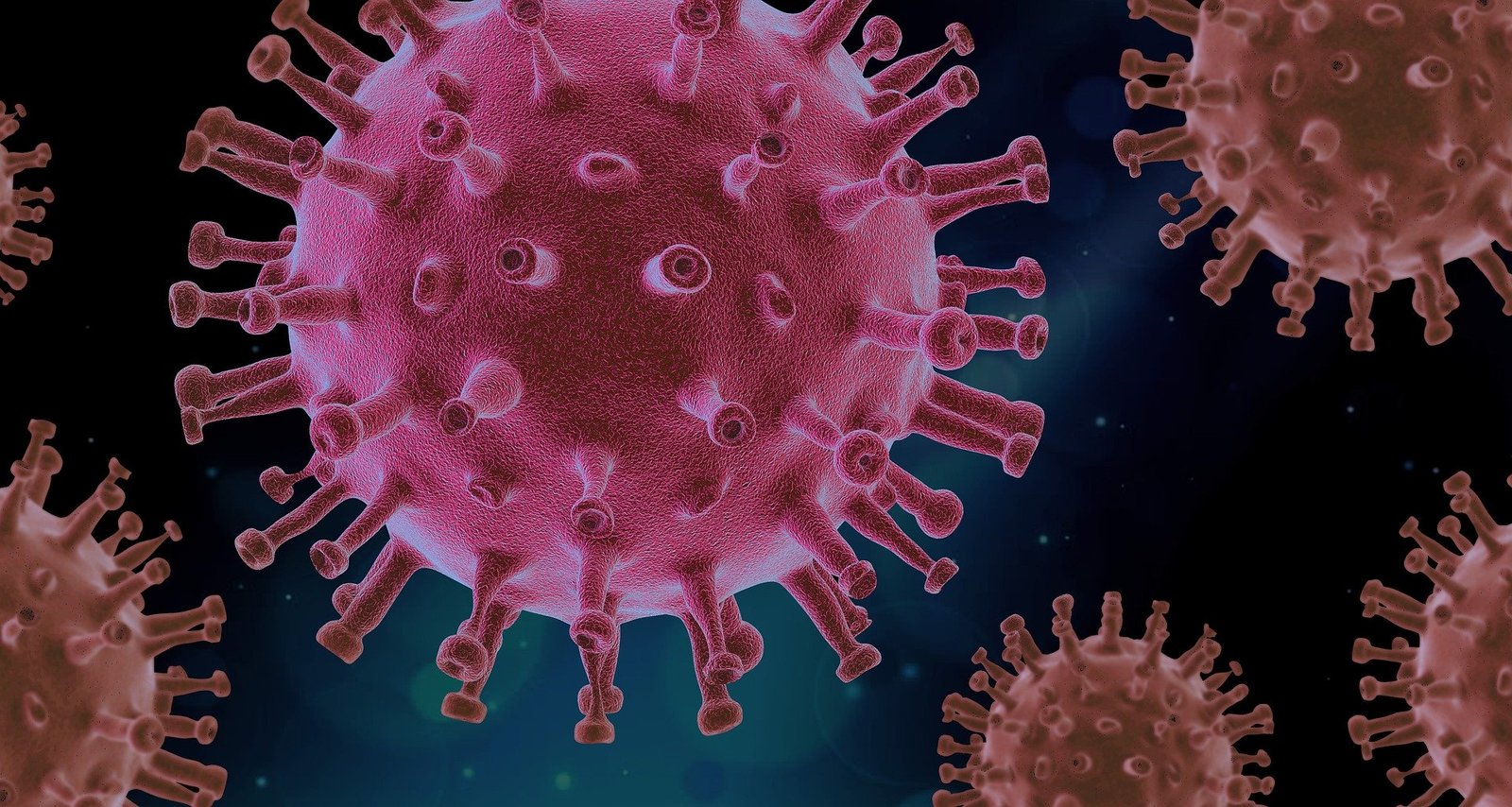 virus-4937553_1920.jpg COVID